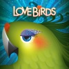 Cast announced for Industry Workshop of Love Birds